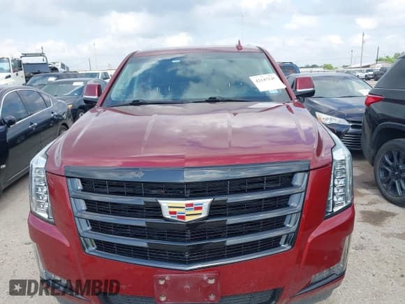 ✅ 2019 Cadillac Escalade Luxury • VIN: 1GYS3BKJ7KR342801 • Lot: 42147145. Listed on IAAI with 87,250 mi. Free auction sales archive from the USA and detailed vehicle history report at DreamBid. Image 12.
