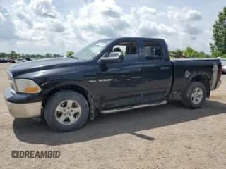 ✅ 2010 Dodge 1500 TRX • VIN: 1D7RV1GT4AS233129 • Lot: 62340465. Wystawiony na Copart z przebiegiem 324 193 mil. Bezpłatny archiwum sprzedaży aukcyjnych z USA i szczegółowy raport historii pojazdu na DreamBid. Zdjęcie 1.