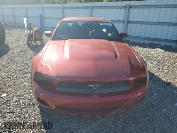 ✅ 2011 Ford Mustang V6 • VIN: 1ZVBP8AM8B5149201 • Lot: 90684515. Listed on Copart with 132,226 mi. Free auction sales archive from the USA and detailed vehicle history report at DreamBid. Image 5.