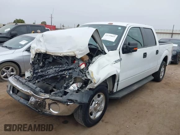 ✅ 2011 Ford F-150 XL • VIN: 1FTEW1CM5BKD28207 • Lot: 43739049. Wystawiony na IAAI z przebiegiem 255 307 mil. Bezpłatny archiwum sprzedaży aukcyjnych z USA i szczegółowy raport historii pojazdu na DreamBid. Zdjęcie 2.