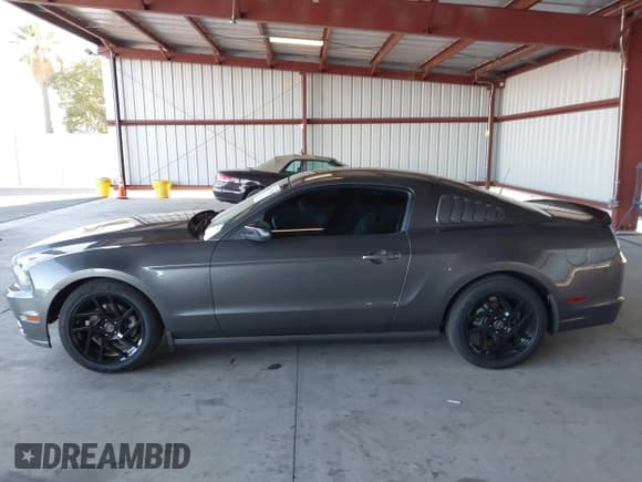 ✅ 2014 Ford Mustang Premium • VIN: 1ZVBP8AM5E5332494 • Лот: 43377150. Опубликован ранее на IAAI с пробегом 119 029 миль. Бесплатный доступ к архиву аукционных продаж из США и подробный отчёт об истории автомобиля на DreamBid. Изображение 14.