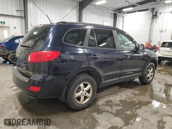✅ 2009 Hyundai Santa Fe GL • VIN: 5NMSG13EX9H290424 • Lot: 45644875. Listed on Copart with 239,932 mi. Free auction sales archive from the USA and detailed vehicle history report at DreamBid. Image 3.