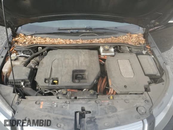 ✅ 2013 Chevrolet Volt • VIN: 1G1RF6E43DU120175 • Lot: 84102794. Wystawiony na Copart z przebiegiem 174 229 mil. Bezpłatny archiwum sprzedaży aukcyjnych z USA i szczegółowy raport historii pojazdu na DreamBid. Zdjęcie 11.