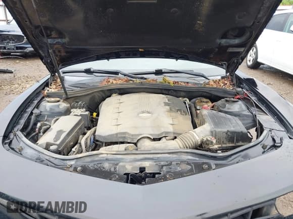 ✅ 2013 Chevrolet Camaro LT • VIN: 2G1FB1E39D9110756 • Lot: 42515570. Wystawiony na IAAI z przebiegiem 164 831 mil. Bezpłatny archiwum sprzedaży aukcyjnych z USA i szczegółowy raport historii pojazdu na DreamBid. Zdjęcie 10.