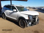 ✅ 2024 Kia Telluride SX X-Pro • VIN: 5XYP5DGC5RG471723 • Lot: 43545651. Listed on IAAI with 11,520 mi. Free auction sales archive from the USA and detailed vehicle history report at DreamBid. Image 1.