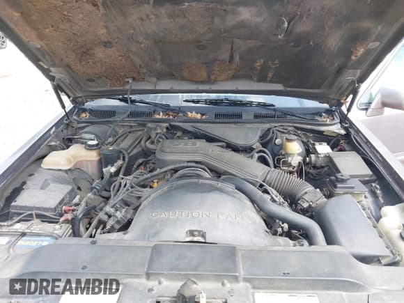 ✅ 1995 Lincoln Town Car Executive • VIN: 1LNLM81W6SY731258 • Лот: 42699400. Опубликован ранее на IAAI с пробегом 215 154 миль. Бесплатный доступ к архиву аукционных продаж из США и подробный отчёт об истории автомобиля на DreamBid. Изображение 10.