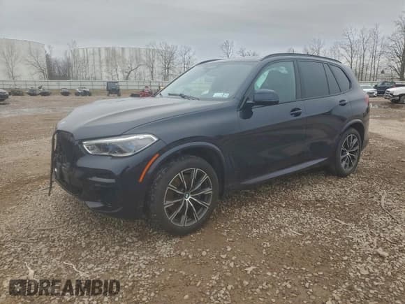 ✅ 2023 BMW X5 xDrive40i • VIN: 5UXCR6C06P9P20229 • Lot: 94529025. Wystawiony na Copart z przebiegiem Nie podano. Bezpłatny archiwum sprzedaży aukcyjnych z USA i szczegółowy raport historii pojazdu na DreamBid. Zdjęcie 1.