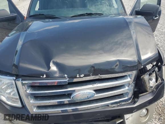 ✅ 2007 Ford Expedition Eddie Bauer • VIN: 1FMFU18527LA00560 • Lot: 56579215. Listed on Copart with 156,465 mi. Free auction sales archive from the USA and detailed vehicle history report at DreamBid. Image 12.