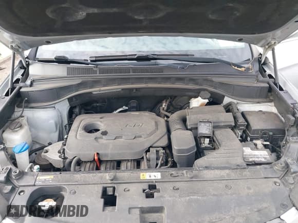 ✅ 2017 Hyundai Santa Fe 2.4L • VIN: 5XYZUDLB2HG409316 • Лот: 43635496. Опубликован ранее на IAAI с пробегом 122 173 миль. Бесплатный доступ к архиву аукционных продаж из США и подробный отчёт об истории автомобиля на DreamBid. Изображение 10.