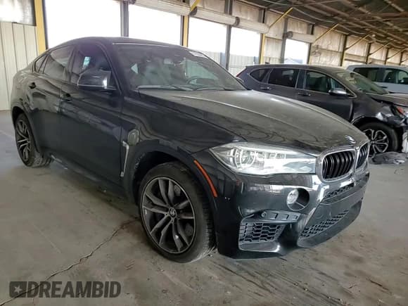 ✅ 2016 BMW X6 M • VIN: 5YMKW8C55G0R43810 • Lot: 57850095. Listed on Copart with 76,593 mi. Free auction sales archive from the USA and detailed vehicle history report at DreamBid. Image 14.