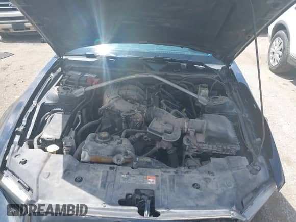 2014 Ford Mustang V6 с VIN 1ZVBP8EM5E5243910, выставлен на аукционе IAAI как лот 42648737 с пробегом 251 987 миль миль и . История ставок и продаж доступна на DreamBid. Изображение 10.