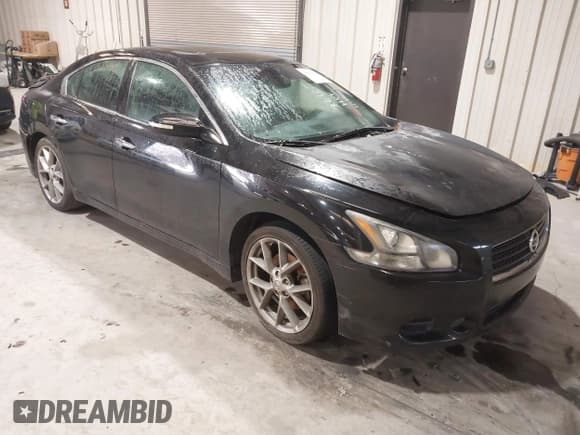 ✅ 2011 Nissan Maxima SV • VIN: 1N4AA5AP1BC842203 • Lot: 43808111. Listed on IAAI with 234,558 mi. Free auction sales archive from the USA and detailed vehicle history report at DreamBid. Image 1.