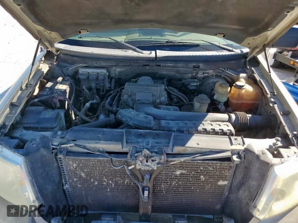 ✅ 2008 Ford F-150 XLT • VIN: 1FTPW12V68FC10235 • Lot: 90839885. Wystawiony na Copart z przebiegiem 184 050 mil. Bezpłatny archiwum sprzedaży aukcyjnych z USA i szczegółowy raport historii pojazdu na DreamBid. Zdjęcie 11.