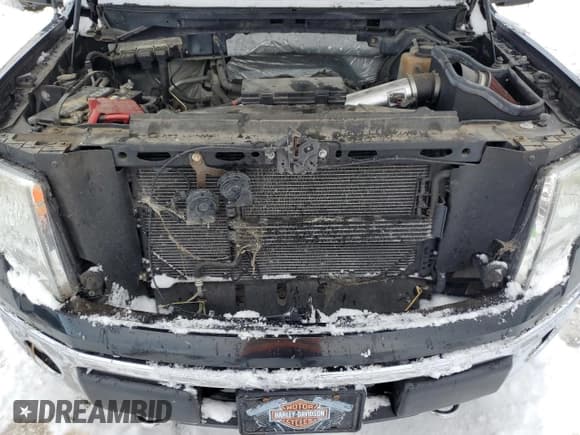 ✅ 2011 Ford F-150 XLT • VIN: 1FTFX1EF4BFA04920 • Lot: 92441355. Listed on Copart with 132,527 mi. Free auction sales archive from the USA and detailed vehicle history report at DreamBid. Image 11.