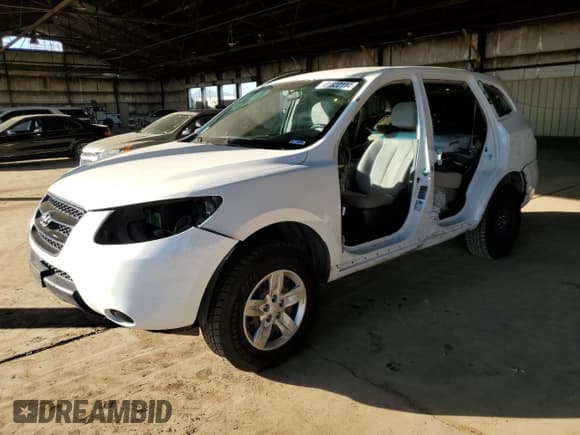 ✅ 2009 Hyundai Santa Fe GLS • VIN: 5NMSG13D09H230112 • Lot: 81822114. Listed on Copart with 63,267 mi. Free auction sales archive from the USA and detailed vehicle history report at DreamBid. Image 1.