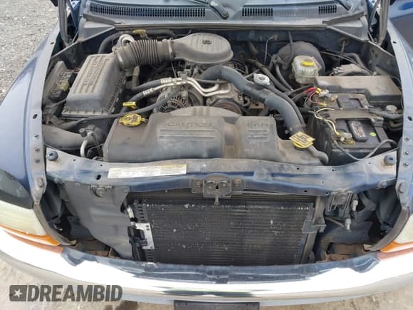 ✅ 2003 Dodge Dakota SLT • VIN: 1D7HL48X23S261258 • Lot: 41362485. Wystawiony na IAAI z przebiegiem 143 397 mil. Bezpłatny archiwum sprzedaży aukcyjnych z USA i szczegółowy raport historii pojazdu na DreamBid. Zdjęcie 10.