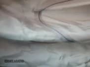 ✅ 2016 Ford Mustang GT Premium • VIN: 1FA6P8CF9G5215111 • Lot: 81558485. Listed on Copart with 94,288 mi. Free auction sales archive from the USA and detailed vehicle history report at DreamBid. Image 10.