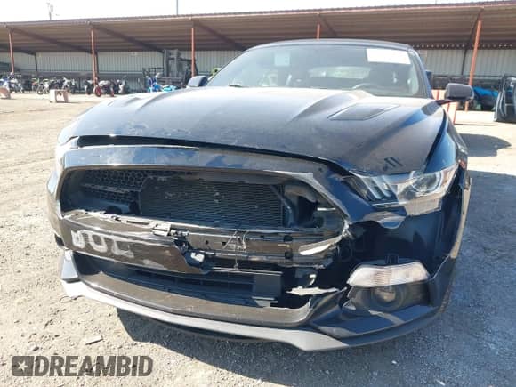 2015 Ford Mustang GT Premium with VIN 1FATP8FF1F5391017, listed as a IAAI auction lot 43528484 with 83,502 mi miles and . Bid and sale history available at DreamBid. Image 6.