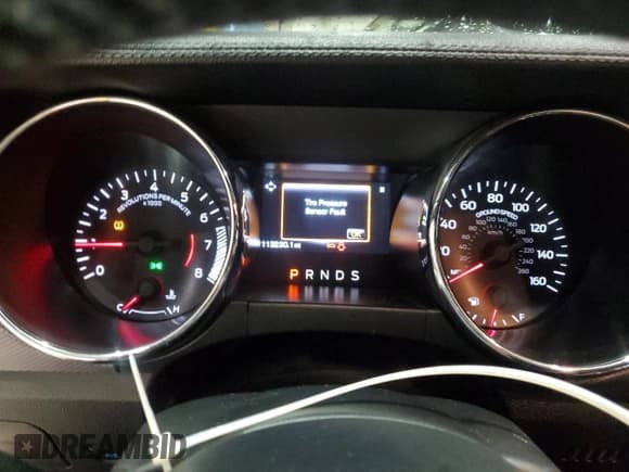 ✅ 2016 Ford Mustang EcoBoost • VIN: 1FA6P8TH4G5288954 • Lot: 84958215. Listed on Copart with 113,230 mi. Free auction sales archive from the USA and detailed vehicle history report at DreamBid. Image 9.