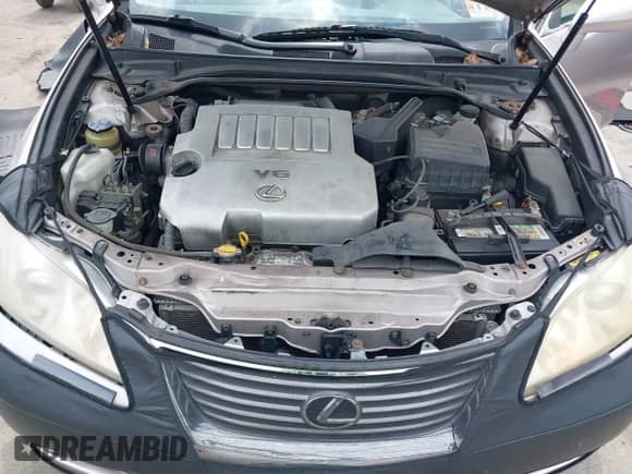 2007 Lexus ES 330 with VIN JTHBJ46G472015521, listed as a IAAI auction lot 42855733 with 137,437 mi miles and . Bid and sale history available at DreamBid. Image 10.