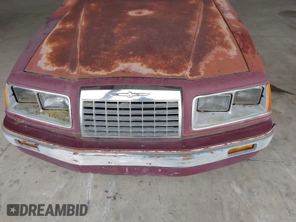 ✅ 1984 Ford Thunderbird • VIN: 1FABP4630EA111572 • Lot: 41569309. Listed on IAAI with 7,919 mi. Free auction sales archive from the USA and detailed vehicle history report at DreamBid. Image 12.