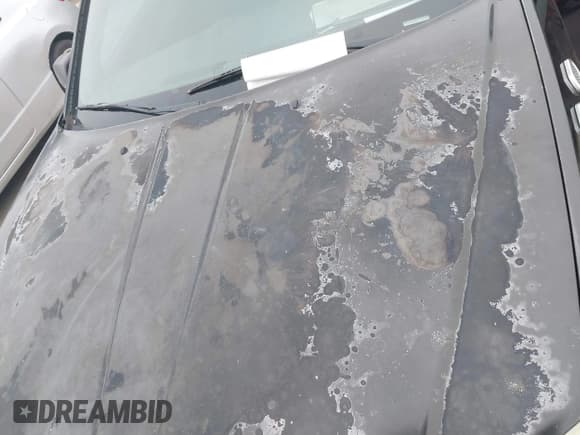 ✅ 2014 Dodge Avenger SE • VIN: 1C3CDZAB4EN139942 • Лот: 41436868. Опубликован ранее на IAAI с пробегом 86 127 миль. Бесплатный доступ к архиву аукционных продаж из США и подробный отчёт об истории автомобиля на DreamBid. Изображение 6.