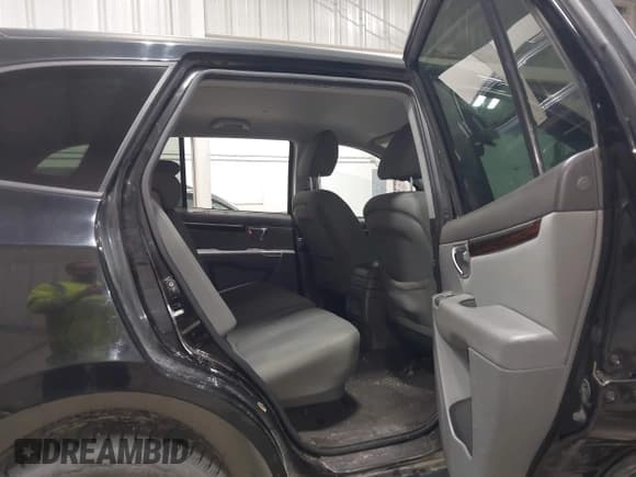 ✅ 2010 Hyundai Santa Fe GLS • VIN: 5NMSGDAB1AH336656 • Lot: 43373980. Listed on IAAI with 164,233 mi. Free auction sales archive from the USA and detailed vehicle history report at DreamBid. Image 8.