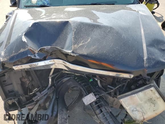 ✅ 2003 Cadillac Escalade • VIN: 1GYEK63N53R154630 • Лот: 70531985. Опубликован ранее на Copart с пробегом Не указан. Бесплатный доступ к архиву аукционных продаж из США и подробный отчёт об истории автомобиля на DreamBid. Изображение 12.