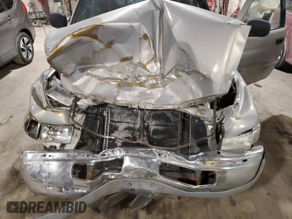 1999 Dodge 1500 с VIN 1B7HC13Y1XJ583765, выставлен на аукционе Copart как лот 85777254 с пробегом Не указан миль и Списание • Salvage title. История ставок и продаж доступна на DreamBid. Изображение 11.