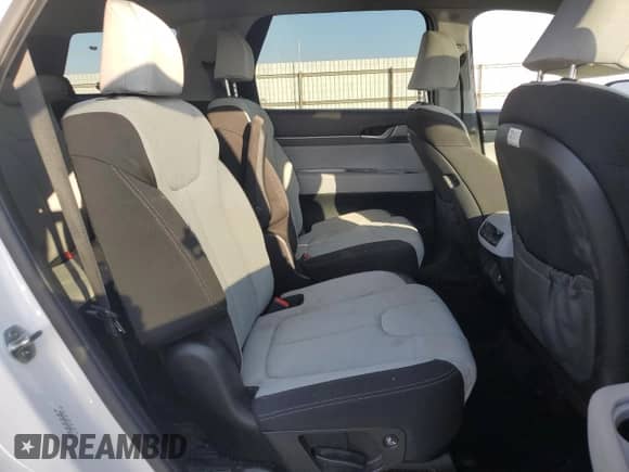 2021 Hyundai Palisade SEL with VIN KM8R2DHE2MU228617, listed as a Copart auction lot 87486505 with 86,923 mi miles and Salvage title. Bid and sale history available at DreamBid. Image 11.