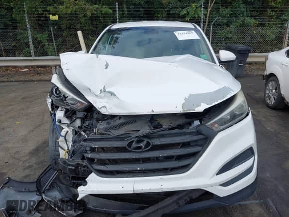 2017 Hyundai Tucson SE with VIN KM8J23A41HU505773, listed as a IAAI auction lot 43231809 with 98,825 mi miles and . Bid and sale history available at DreamBid. Image 12.