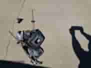 2006 Dodge 3500 Laramie with VIN 3D3MX48C46G261422, listed as a Copart auction lot 55848465 with 135,920 mi miles and Salvage title. Bid and sale history available at DreamBid. Image 12.