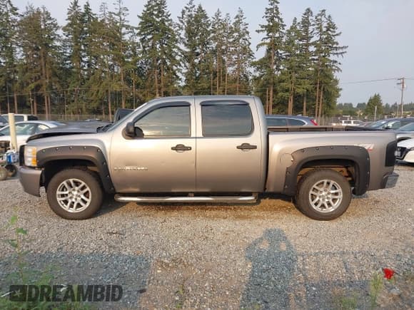 ✅ 2007 Chevrolet Silverado 1500 1LT • VIN: 2GCEK13M771624915 • Lot: 43140224. Listed on IAAI with 234,086 mi. Free auction sales archive from the USA and detailed vehicle history report at DreamBid. Image 14.