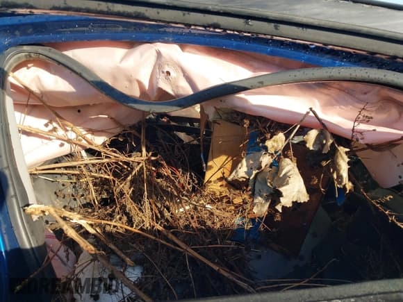 ✅ 2017 Hyundai Elantra SE • VIN: 5NPD84LF8HH200592 • Lot: 43649880. Listed on IAAI with Not provided. Free auction sales archive from the USA and detailed vehicle history report at DreamBid. Image 5.