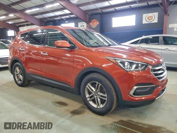 ✅ 2017 Hyundai Santa Fe 2.4L • VIN: 5XYZTDLB0HG439904 • Lot: 96165475. Listed on Copart with 165,309 mi. Free auction sales archive from the USA and detailed vehicle history report at DreamBid. Image 4.