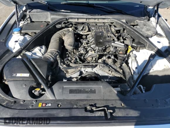 ✅ 2015 Hyundai Genesis 3.8L • VIN: KMHGN4JE0FU054896 • Lot: 46666385. Wystawiony na Copart z przebiegiem 170 641 mil. Bezpłatny archiwum sprzedaży aukcyjnych z USA i szczegółowy raport historii pojazdu na DreamBid. Zdjęcie 11.