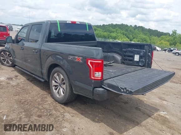 ✅ 2017 Ford F-150 XL • VIN: 1FTEW1CP2HKD16227 • Lot: 42367227. Listed on IAAI with 129,971 mi. Free auction sales archive from the USA and detailed vehicle history report at DreamBid. Image 3.