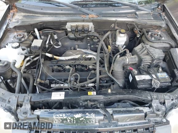 ✅ 2006 Ford Escape XLS • VIN: 1FMYU92Z46KA72724 • Лот: 42137657. Опубликован ранее на IAAI с пробегом 187 286 миль. Бесплатный доступ к архиву аукционных продаж из США и подробный отчёт об истории автомобиля на DreamBid. Изображение 10.