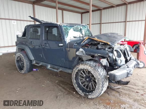 ✅ 2016 Jeep Wrangler Unlimited Freedom • VIN: 1C4BJWDG9GL319356 • Lot: 42113994. Listed on IAAI with Not provided. Free auction sales archive from the USA and detailed vehicle history report at DreamBid. Image 1.