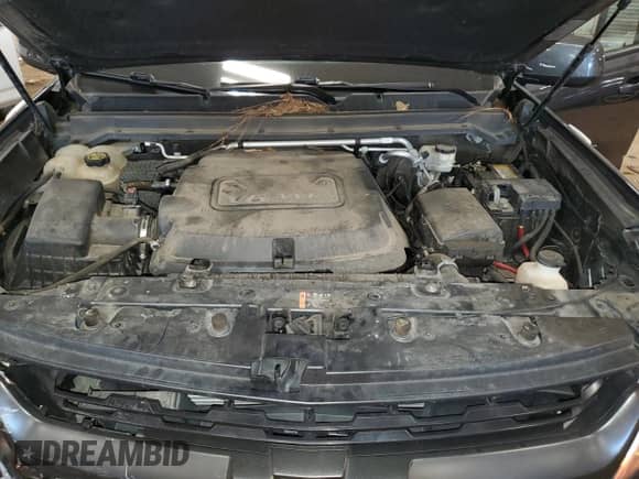 2016 Chevrolet Colorado 4WD Z71 z VIN 1GCGTDE36G1302901, wystawiony jako Copart lot #80293065 z przebiegiem 104 396 mil mil oraz Czysty tytuł • Clean title. Historia ofert i sprzedaży dostępna na DreamBid. Obrazek 12.