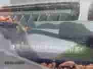 1993 Chevrolet S-10 EL X81 с VIN 1GCCT14Z4P8194501, выставлен на аукционе IAAI как лот 42257001 с пробегом 134 414 миль миль и . История ставок и продаж доступна на DreamBid. Изображение 9.