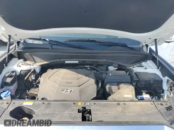 2021 Hyundai Palisade Calligraphy с VIN KM8R7DHE2MU205582, выставлен на аукционе Copart как лот 70760265 с пробегом 49 821 миль миль и Списание • Salvage title. История ставок и продаж доступна на DreamBid. Изображение 12.