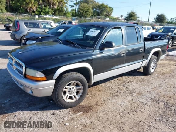 ✅ 2002 Dodge Dakota SLT • VIN: 1B7HL48X82S603451 • Лот: 43524640. Опубликован ранее на IAAI с пробегом 176 199 миль. Бесплатный доступ к архиву аукционных продаж из США и подробный отчёт об истории автомобиля на DreamBid. Изображение 17.