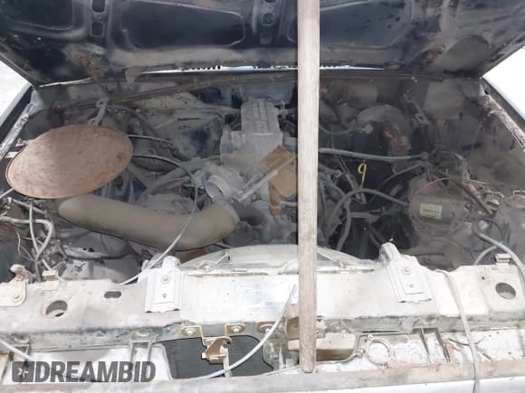 ✅ 1984 Ford Bronco • VIN: 1FMCU14S4EUC26217 • Лот: 42598219. Опубликован ранее на IAAI с пробегом 43 405 миль. Бесплатный доступ к архиву аукционных продаж из США и подробный отчёт об истории автомобиля на DreamBid. Изображение 10.