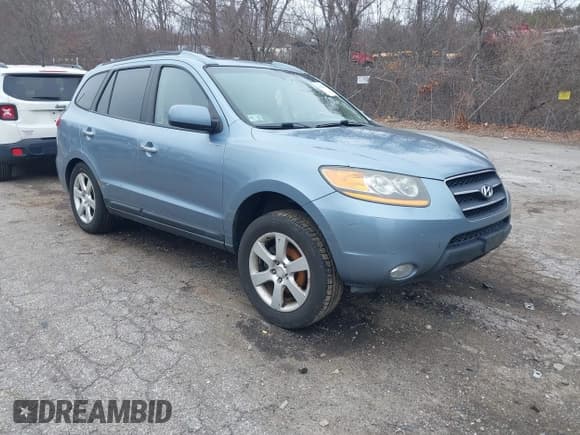✅ 2009 Hyundai Santa Fe SE • VIN: 5NMSH13E49H331045 • Lot: 41846484. Listed on IAAI with 170,579 mi. Free auction sales archive from the USA and detailed vehicle history report at DreamBid. Image 1.