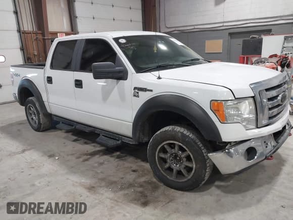 ✅ 2009 Ford F-150 XL • VIN: 1FTPW14V99KC52243 • Лот: 41500479. Опубликован ранее на IAAI с пробегом 186 304 миль. Бесплатный доступ к архиву аукционных продаж из США и подробный отчёт об истории автомобиля на DreamBid. Изображение 1.