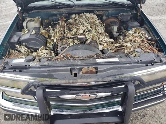 ✅ 1998 Chevrolet Silverado 1500 • VIN: 1GCEK19R3WE173028 • Lot: 86123125. Listed on Copart with 177,014 mi. Free auction sales archive from the USA and detailed vehicle history report at DreamBid. Image 11.