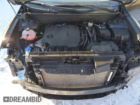 2024 Hyundai Santa Cruz SEL с VIN 5NTJBDAEXRH089688, выставлен на аукционе Copart как лот 41579015 с пробегом 19 456 миль миль и Списание • Salvage title. История ставок и продаж доступна на DreamBid. Изображение 11.