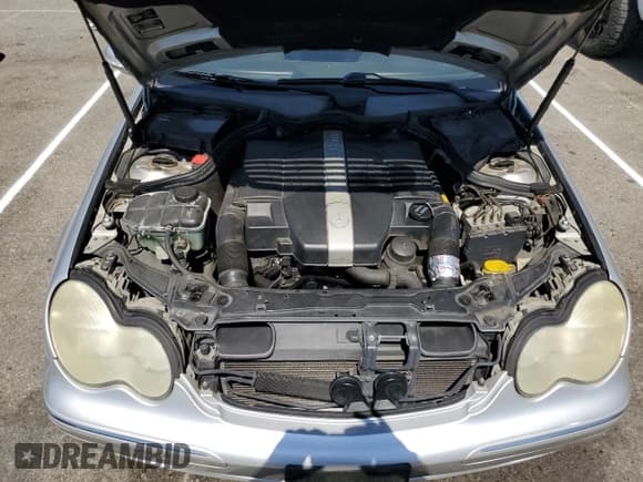 ✅ 2001 Mercedes-Benz C 230/260/280/320 • VIN: WDBRF61J41F099449 • Лот: 80432995. Опубликован ранее на Copart с пробегом Не указан. Бесплатный доступ к архиву аукционных продаж из США и подробный отчёт об истории автомобиля на DreamBid. Изображение 11.