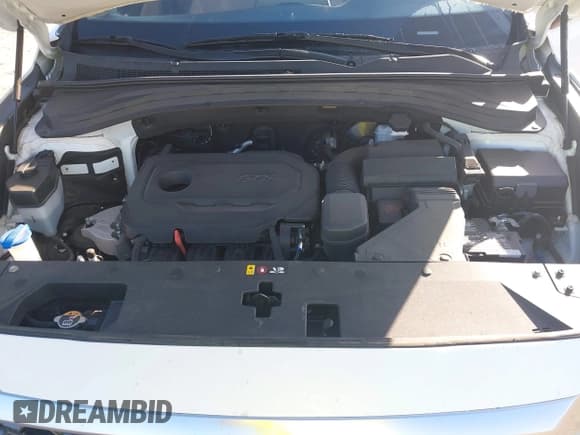 ✅ 2020 Hyundai Santa Fe SEL • VIN: 5NMS3CAD7LH278109 • Lot: 43118546. Listed on IAAI with 49,175 mi. Free auction sales archive from the USA and detailed vehicle history report at DreamBid. Image 10.